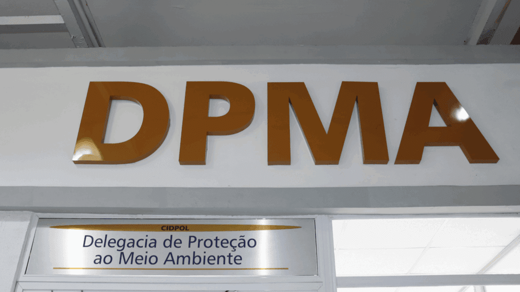 CNN Brasil